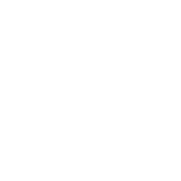 Webservise